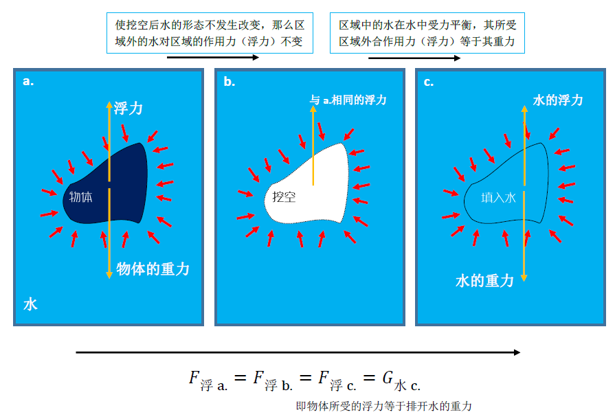 最新浮力网，深度探讨与观点阐述