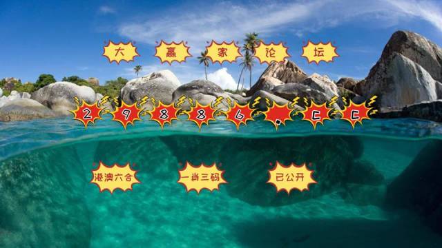 澳门六开彩天天开奖结果,高速应对逻辑_奢华版37.711