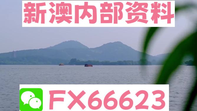 新澳2024年最新版资料,精细化方案决策_跨界版16.927