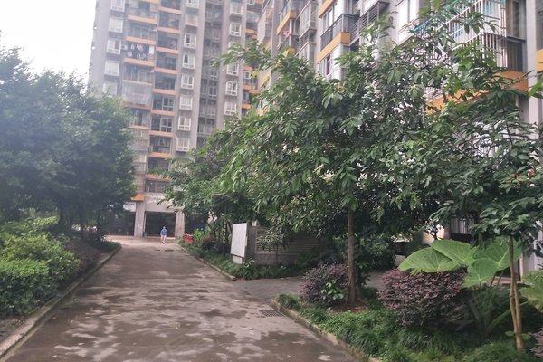 东明阳光尚城最新房价揭秘，小巷秘密与尚城新篇章的交融