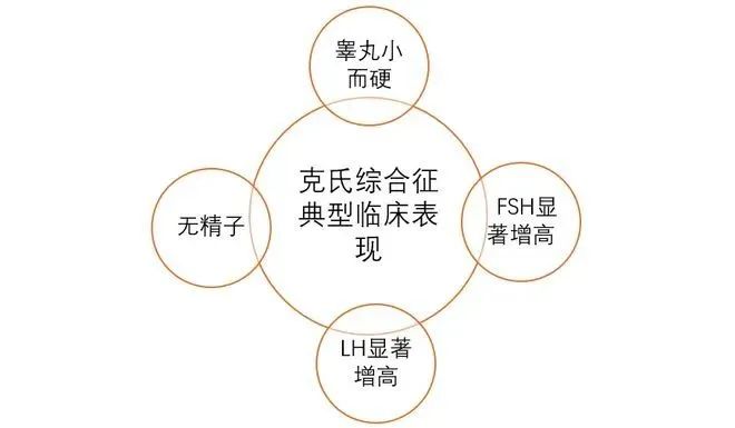 克氏综合征最新研究进展揭秘