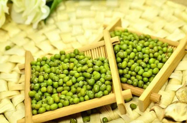工艺美术品收藏 第30页