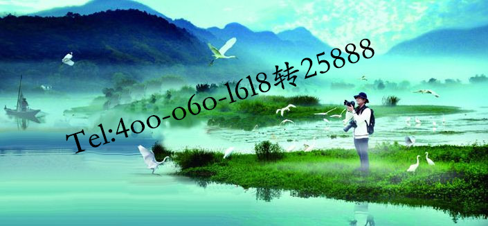 名人字画鉴赏销售平台 第16页