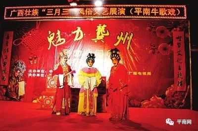 平南华艺牛歌戏步骤指南与最新动态解析