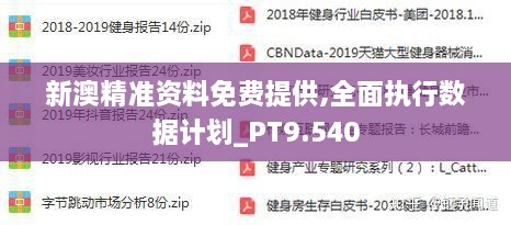 新澳精准资料免费提供208期,高效计划实施_珍藏版31.275