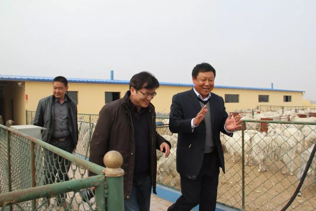 四川惠远农牧牧场上的欢乐时光最新动态揭秘