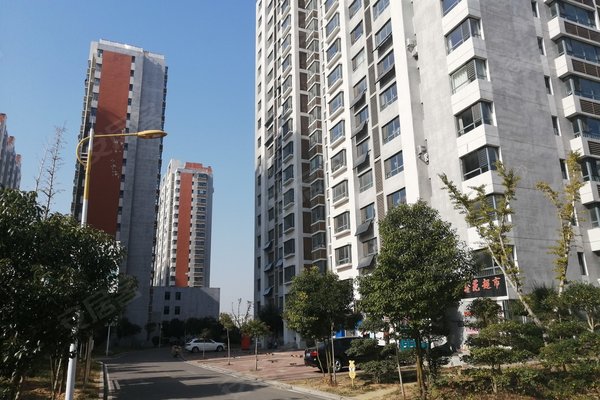 邹城金山新苑动态,家园变迁与成就感的源泉最新消息