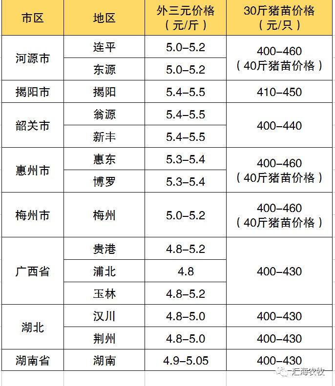 毛鸭价格最新报价,背景、动态与特定领域地位分析