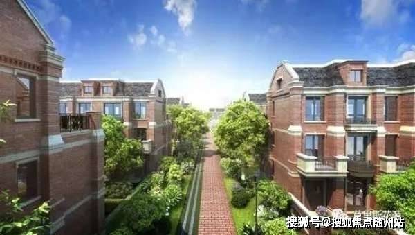 海贼王最新剧情深度解析与观点阐述，第868话揭秘与探讨