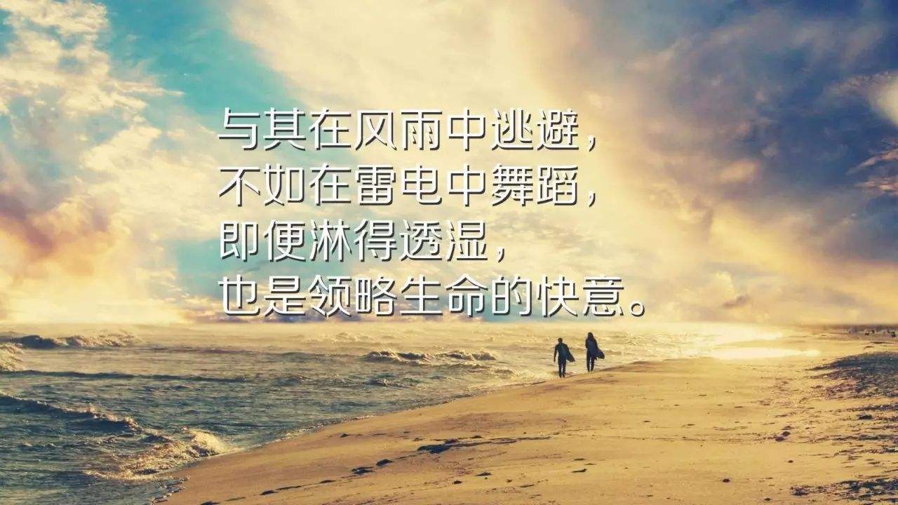 最新流行歌曲，心灵与自然的完美旅行之旅