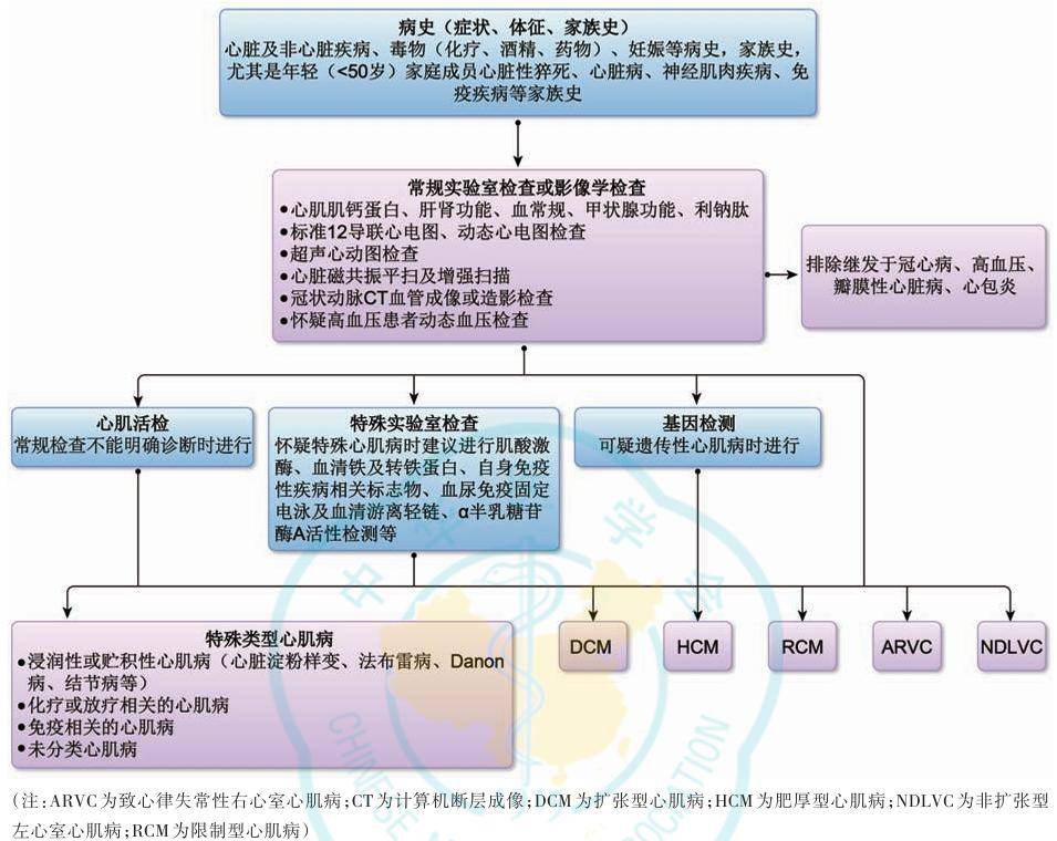 最新心衰指南重塑信心，引领健康之旅启程