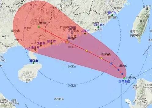 惠州台风动态，风暴之眼瞬间掠过城市，最新影响全面解析
