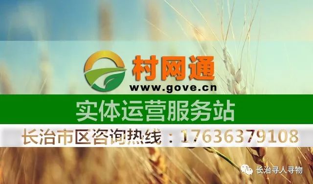 陕西信合招聘最新动态，启航梦想，共赴未来之旅