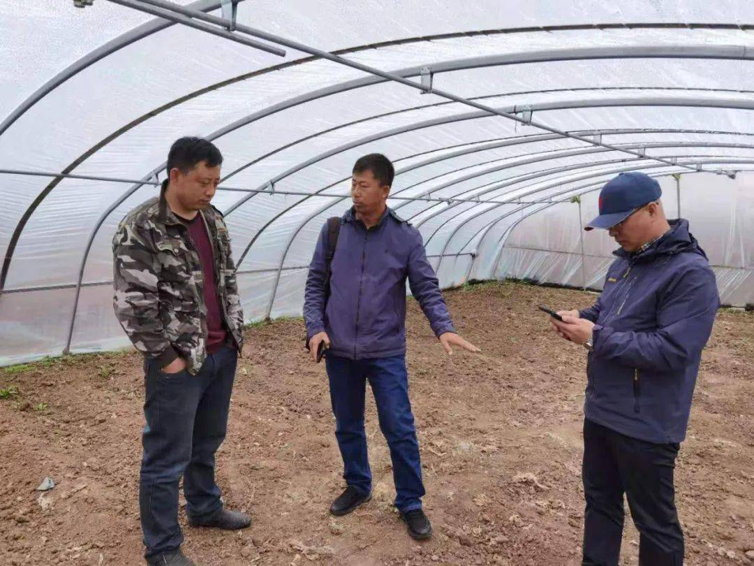 嘉宇银杉最新动态，学习、改变、自信，成就未来之路