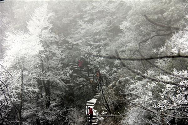 广东省天气最新消息更新🌦️